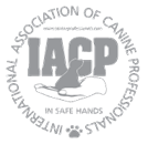 iacp logo