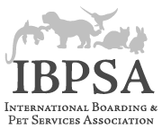 ibpsa logo