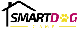smart dog camp logo