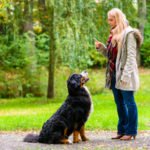 owner instructing dog to sit